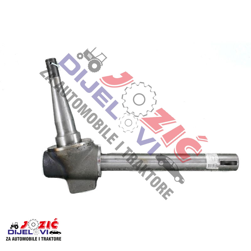 Daisy on the Ohoopee