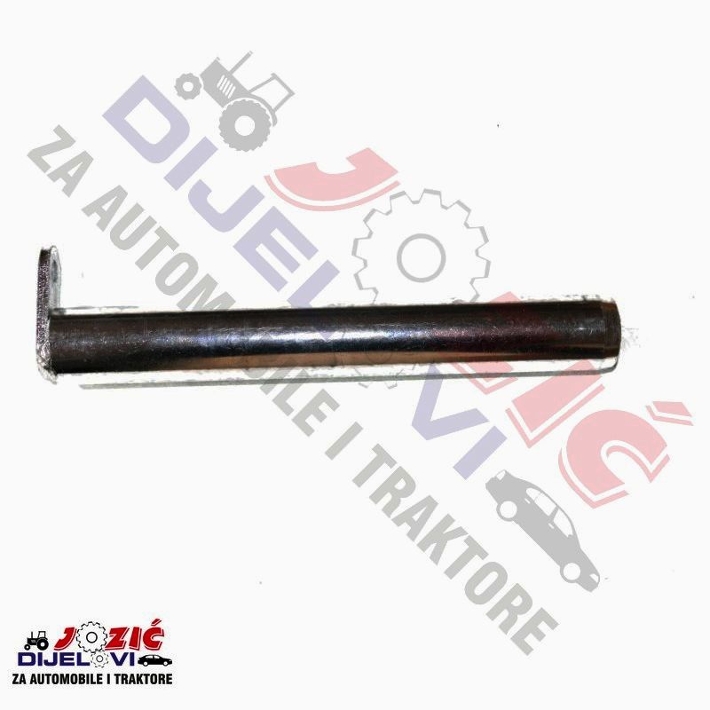 Daisy on the Ohoopee