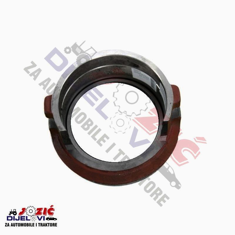 Daisy on the Ohoopee