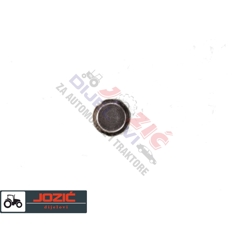 Daisy on the Ohoopee