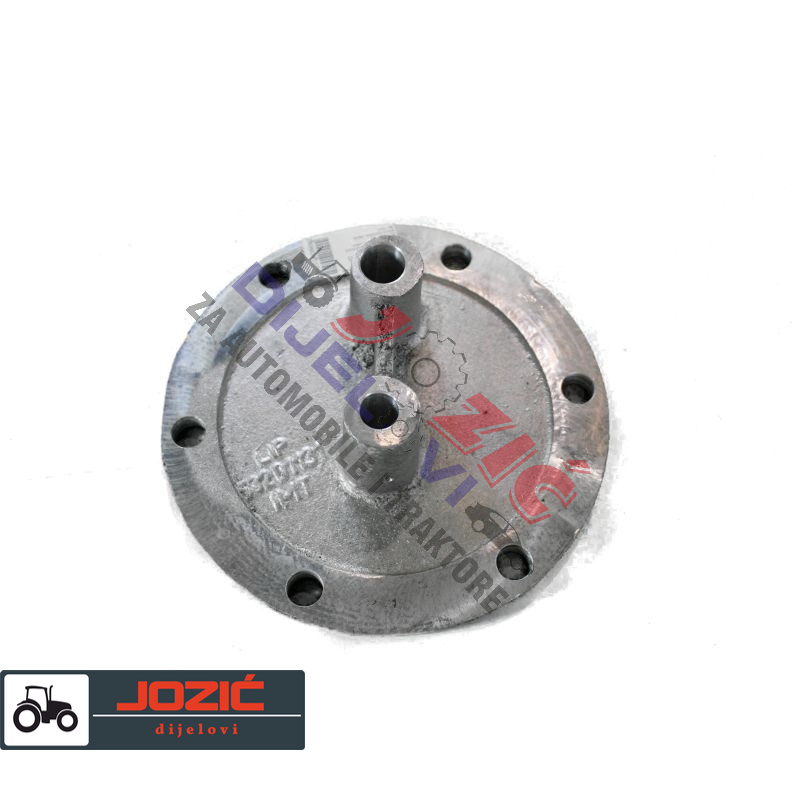 Daisy on the Ohoopee