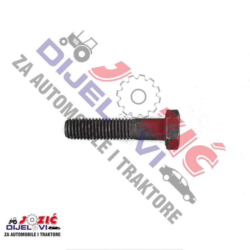 Daisy on the Ohoopee