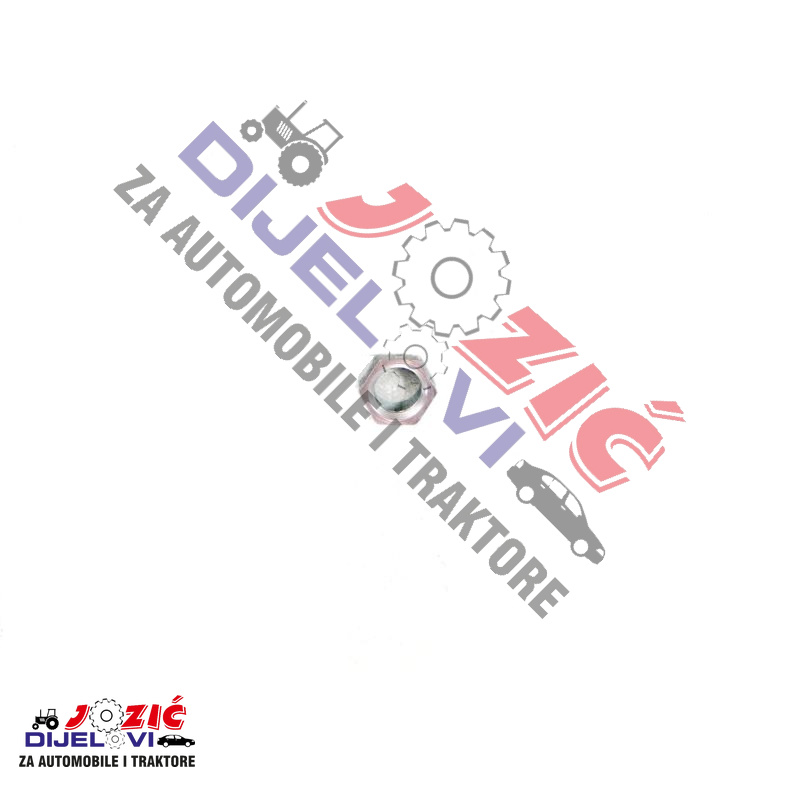 Daisy on the Ohoopee