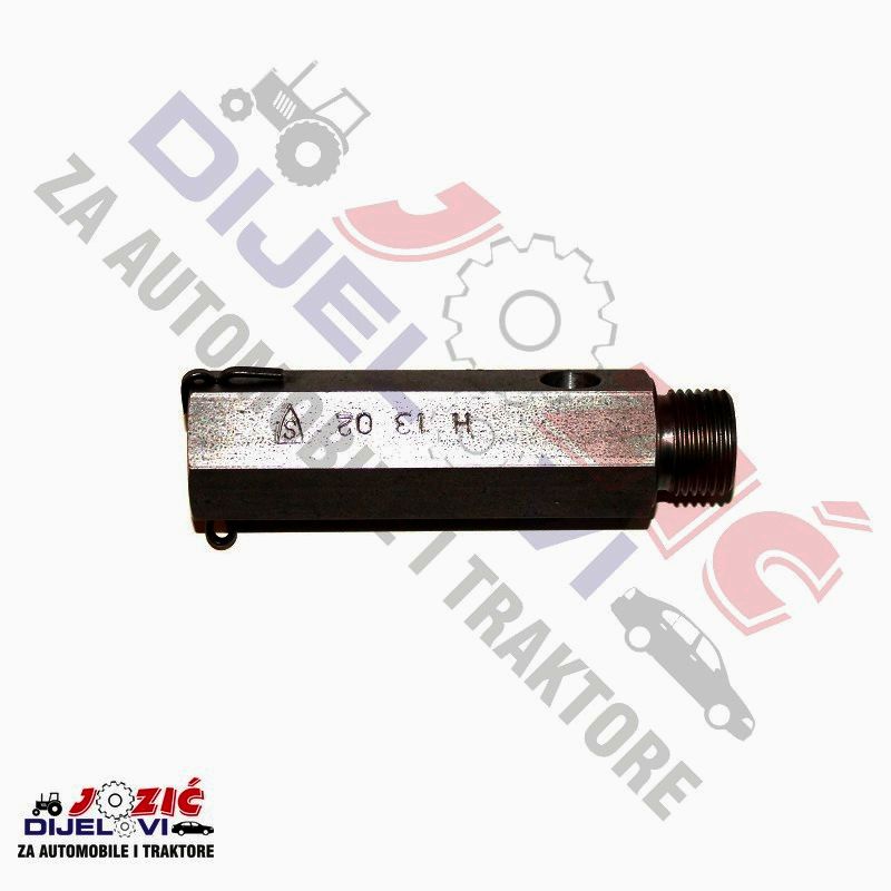 Daisy on the Ohoopee