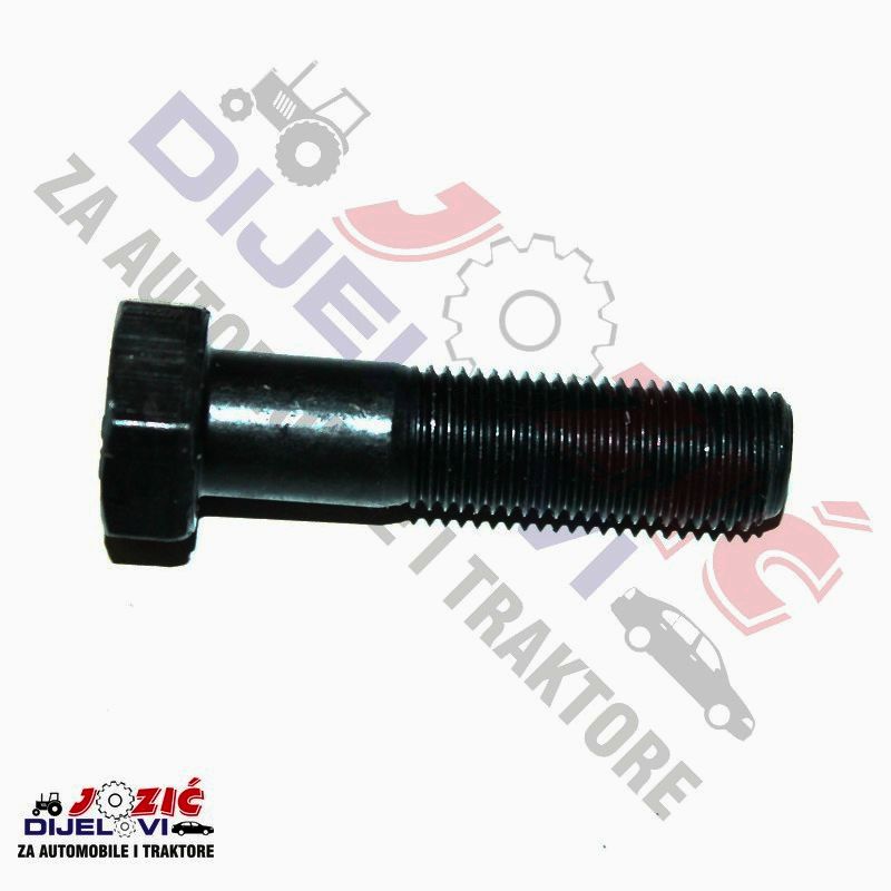 Daisy on the Ohoopee