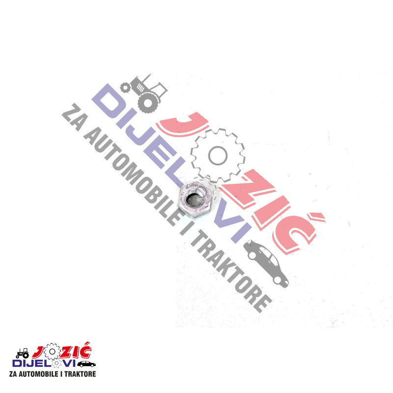 Daisy on the Ohoopee