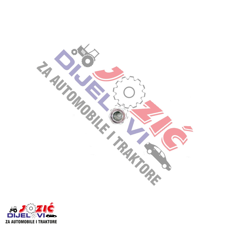 Daisy on the Ohoopee