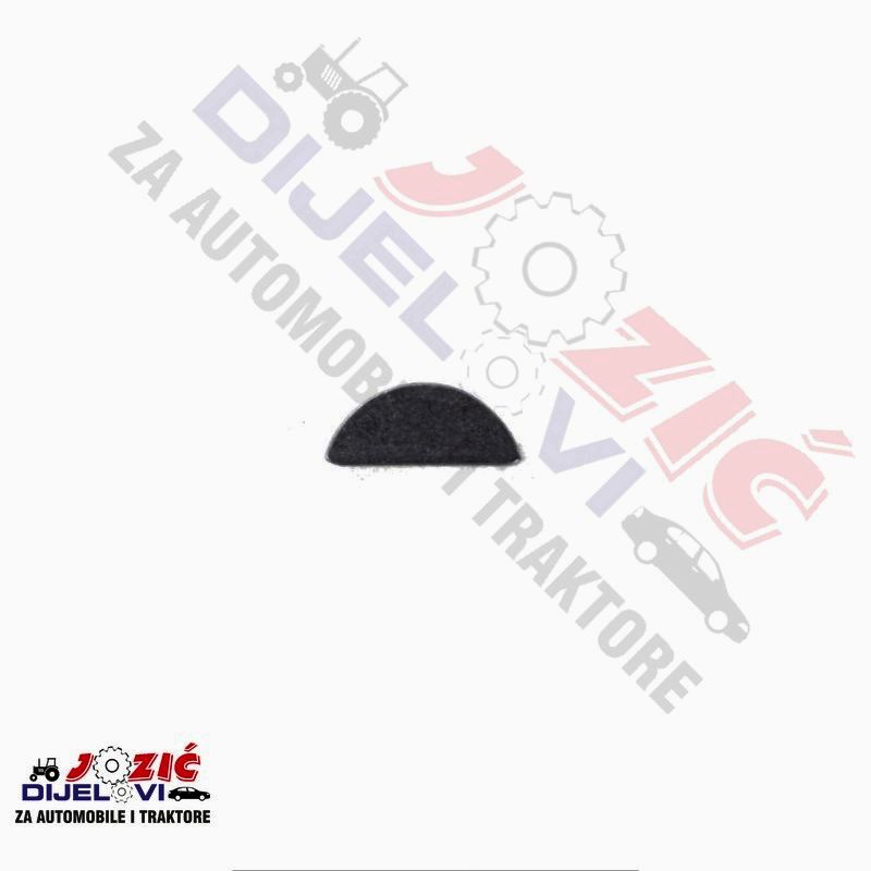 Daisy on the Ohoopee