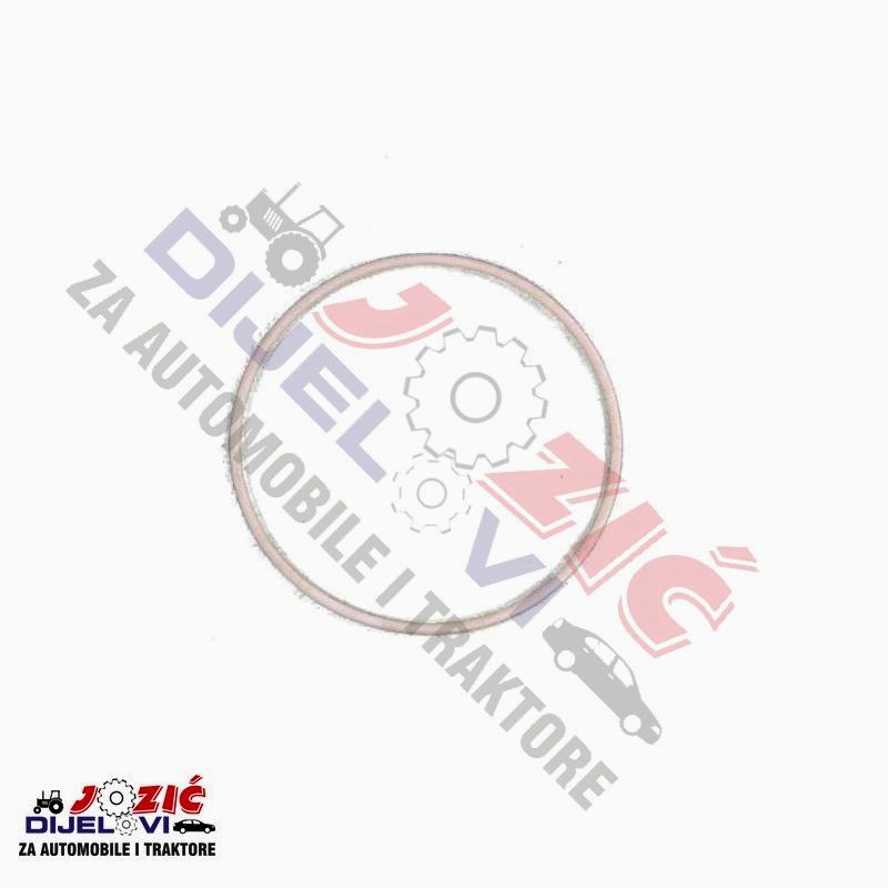 Daisy on the Ohoopee