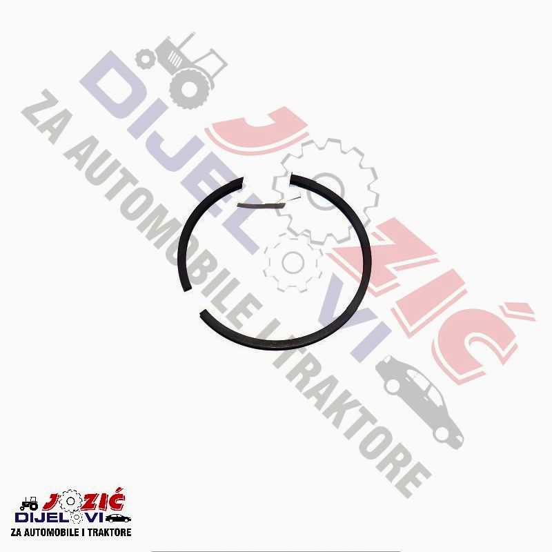 Daisy on the Ohoopee