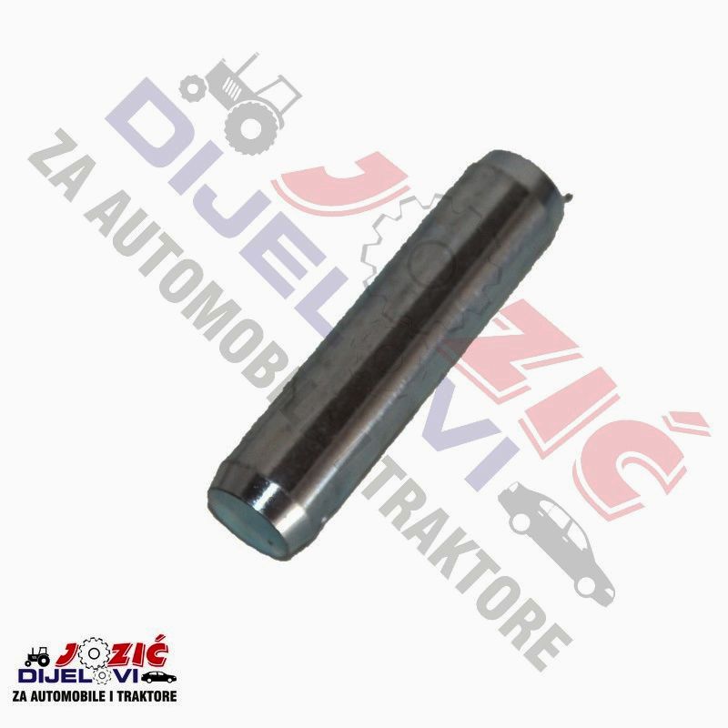 Daisy on the Ohoopee