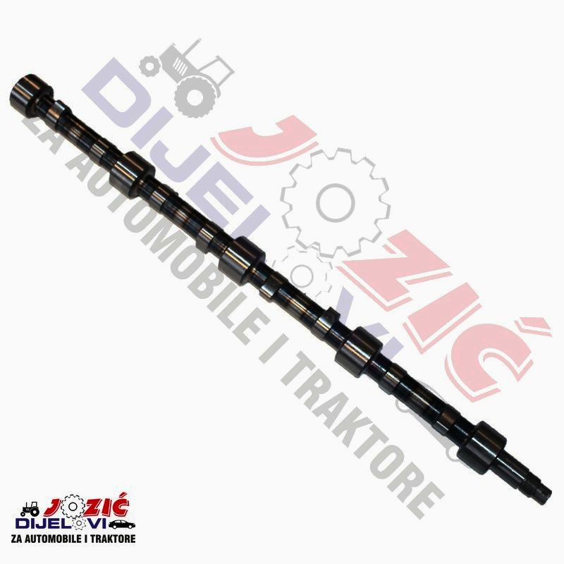 Daisy on the Ohoopee