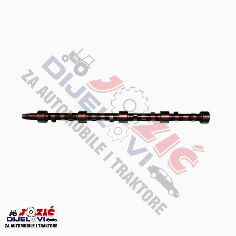 Daisy on the Ohoopee