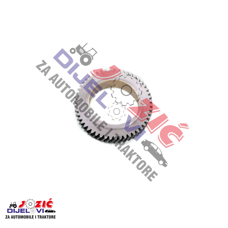 Daisy on the Ohoopee