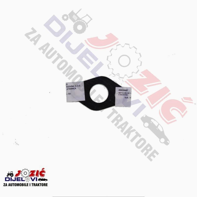 Daisy on the Ohoopee