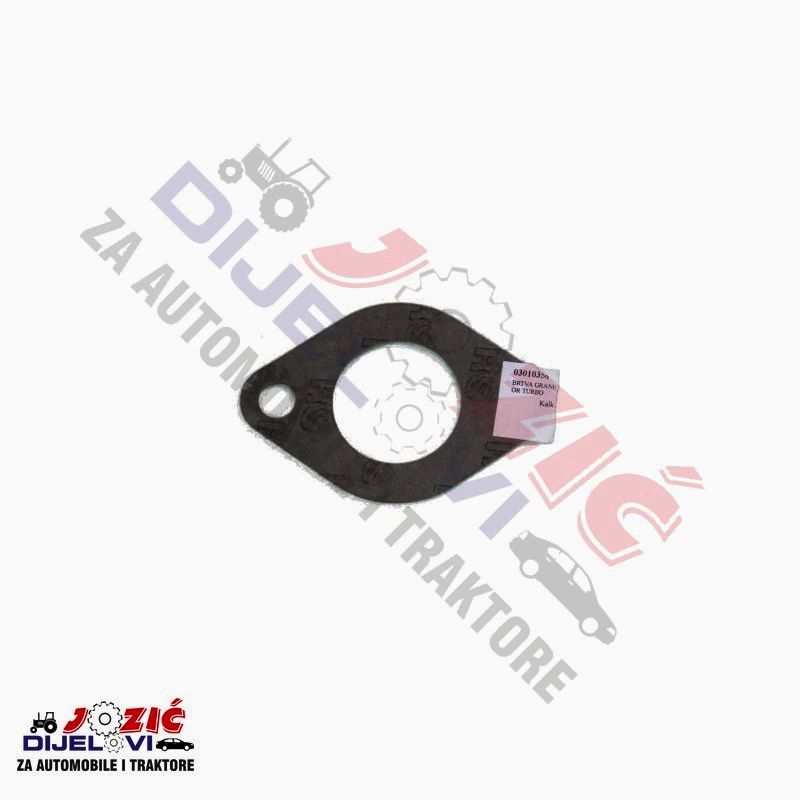 Daisy on the Ohoopee