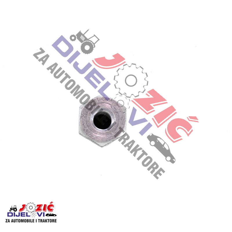 Daisy on the Ohoopee