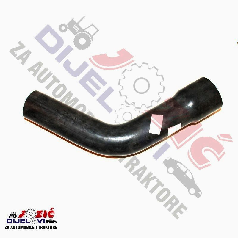 Daisy on the Ohoopee