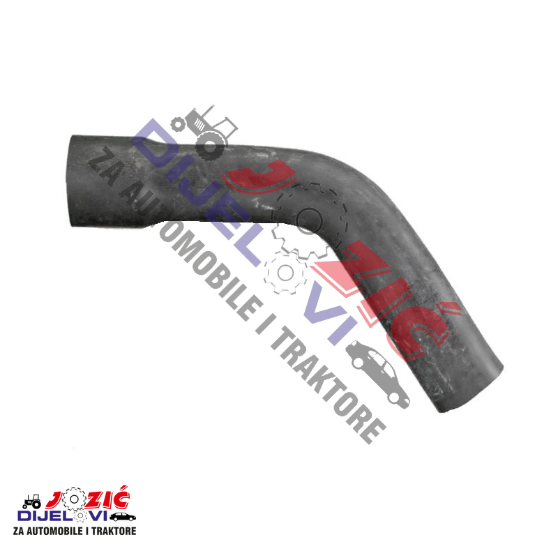 Daisy on the Ohoopee