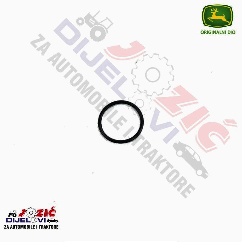 Daisy on the Ohoopee