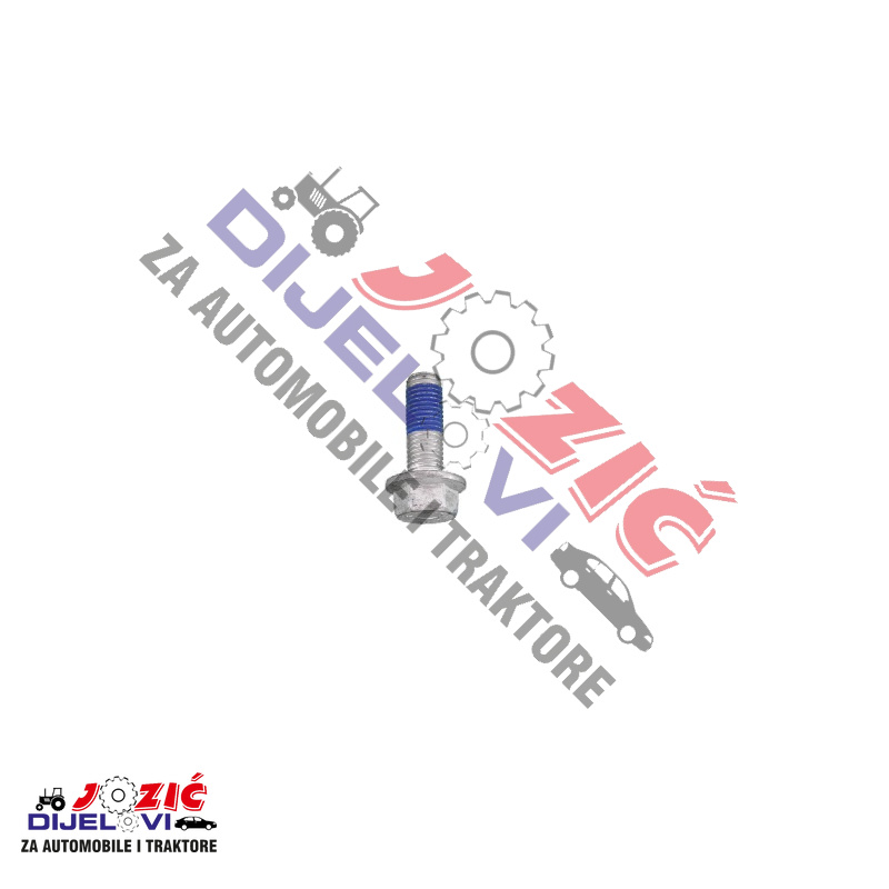 Daisy on the Ohoopee