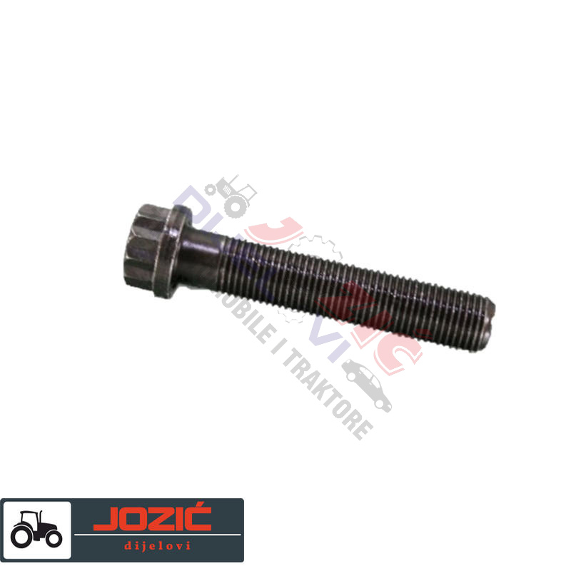 Daisy on the Ohoopee