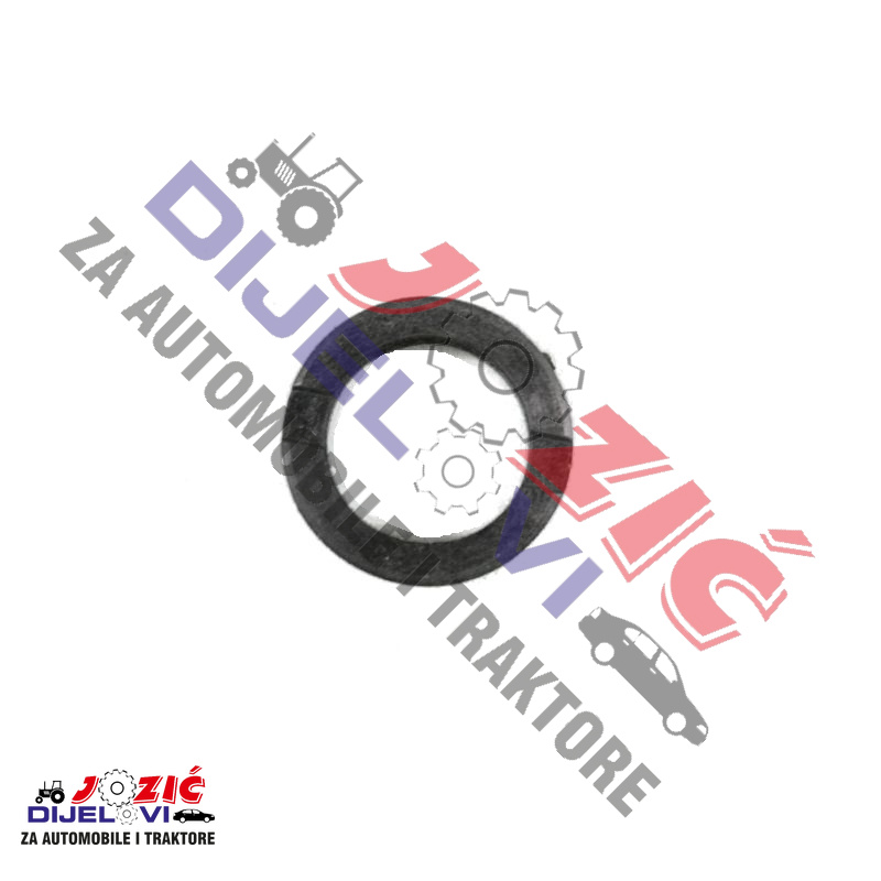 Daisy on the Ohoopee