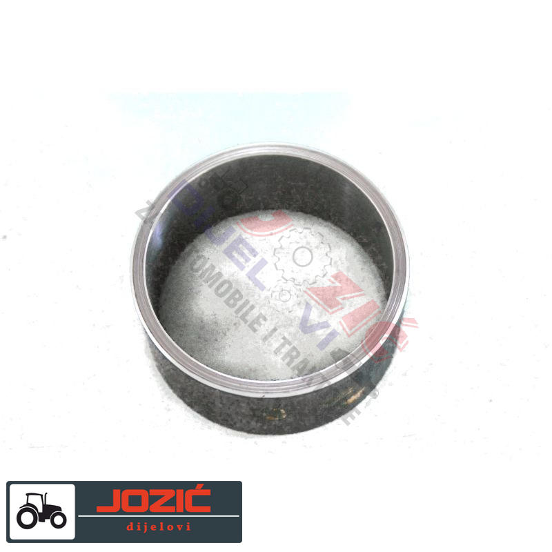 Daisy on the Ohoopee