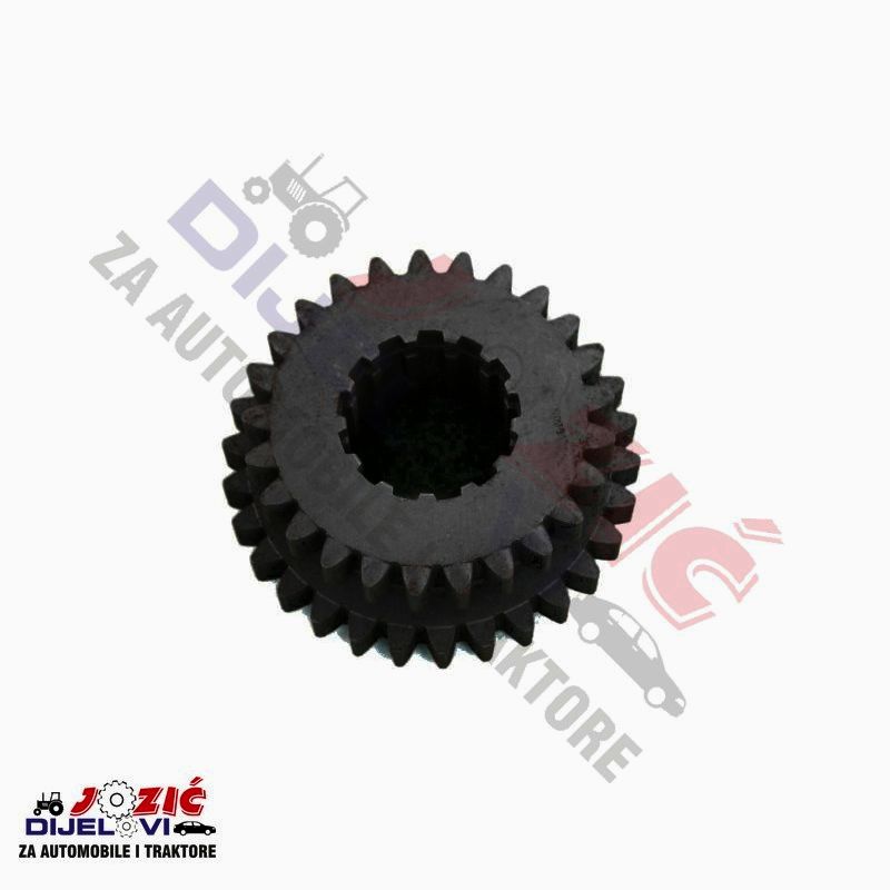 Daisy on the Ohoopee