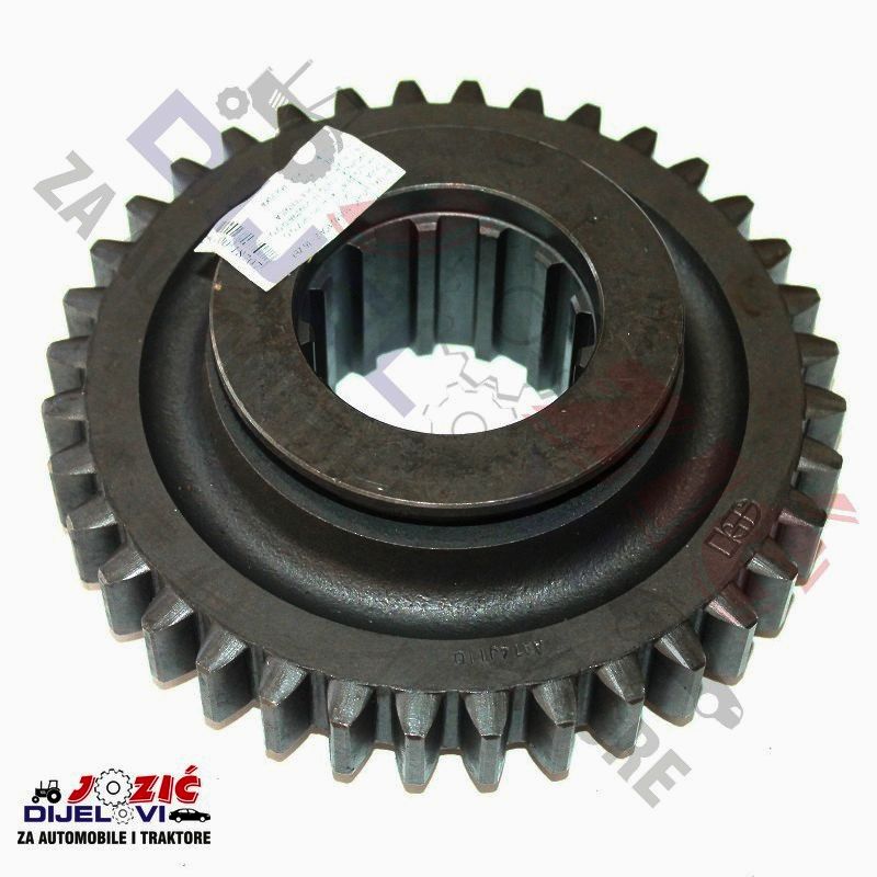 Daisy on the Ohoopee