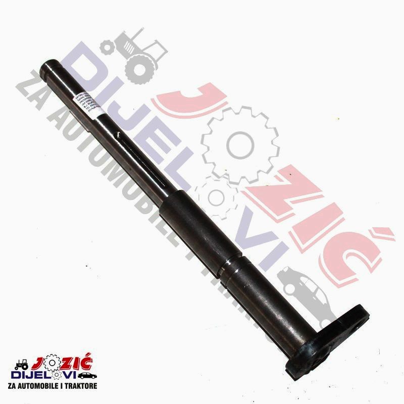 Daisy on the Ohoopee