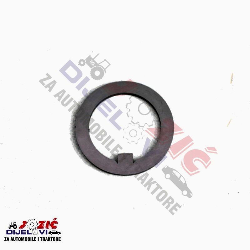 Daisy on the Ohoopee