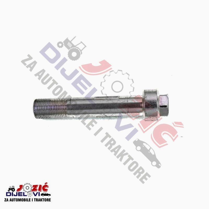 Daisy on the Ohoopee