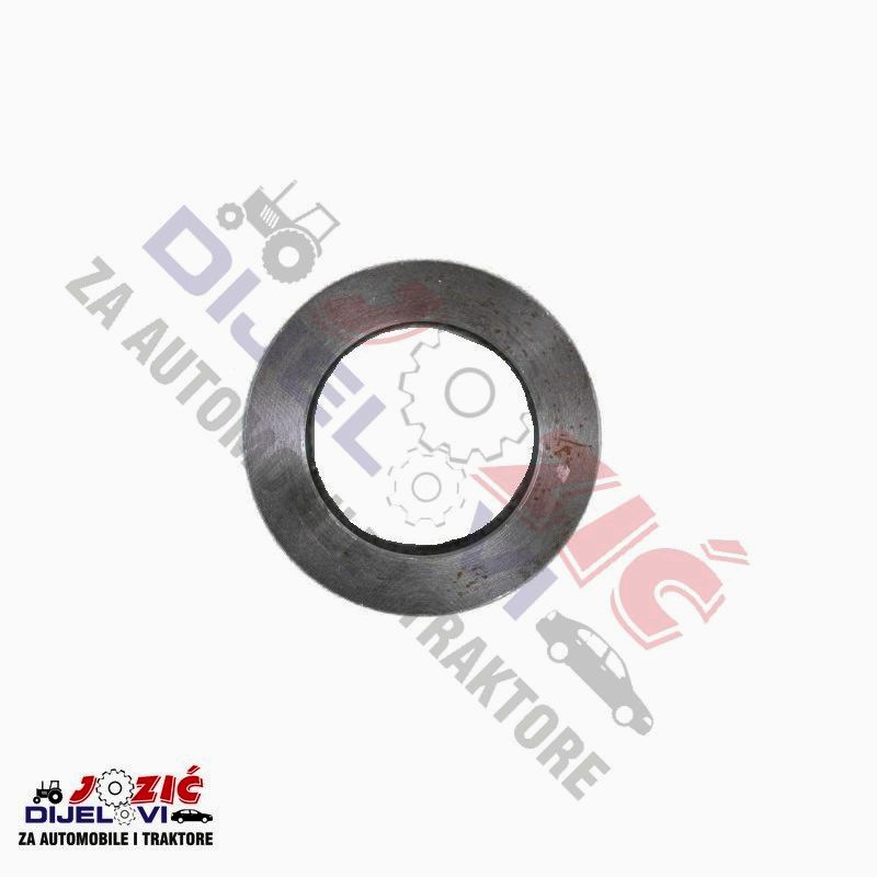 Daisy on the Ohoopee