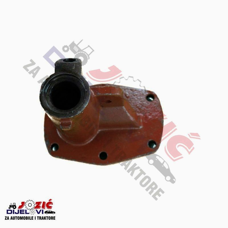 Daisy on the Ohoopee