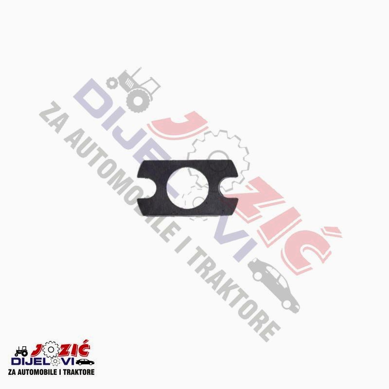 Daisy on the Ohoopee