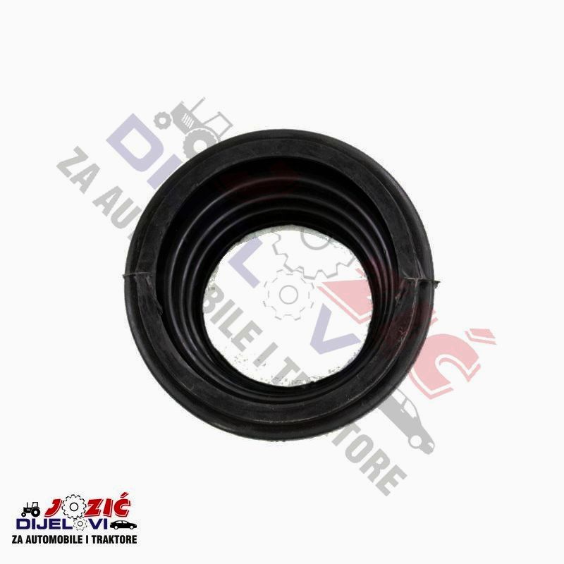 Daisy on the Ohoopee