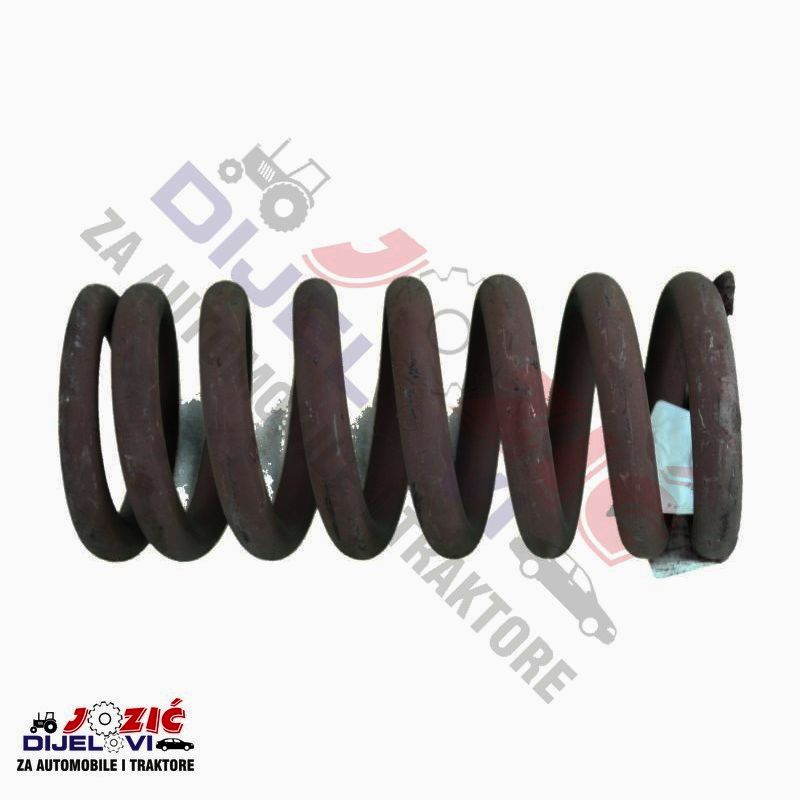 Daisy on the Ohoopee