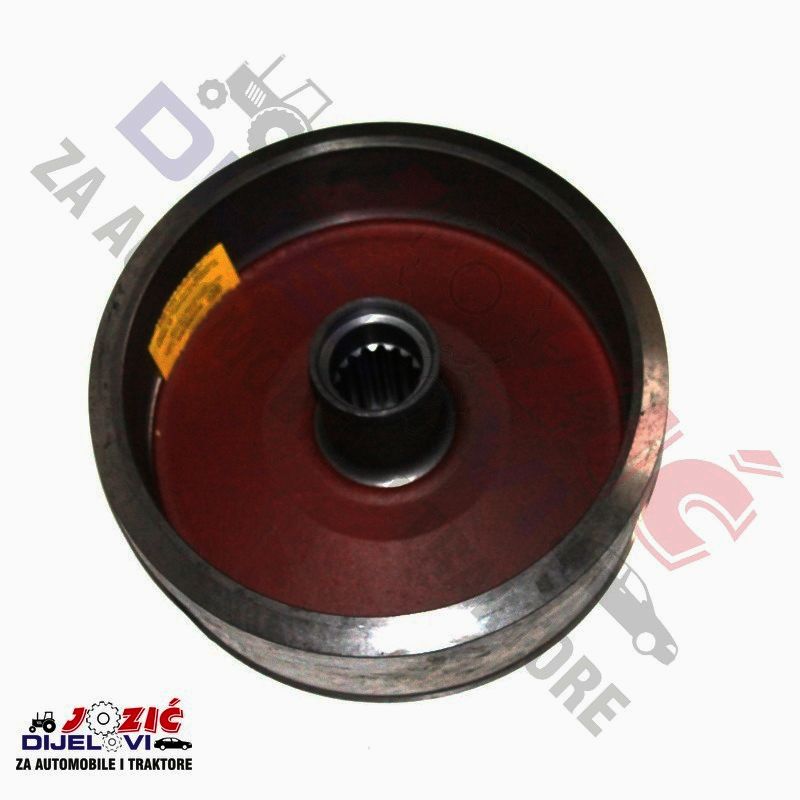 Daisy on the Ohoopee