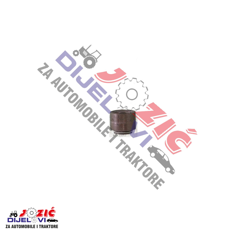 Daisy on the Ohoopee