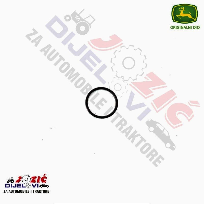 Daisy on the Ohoopee