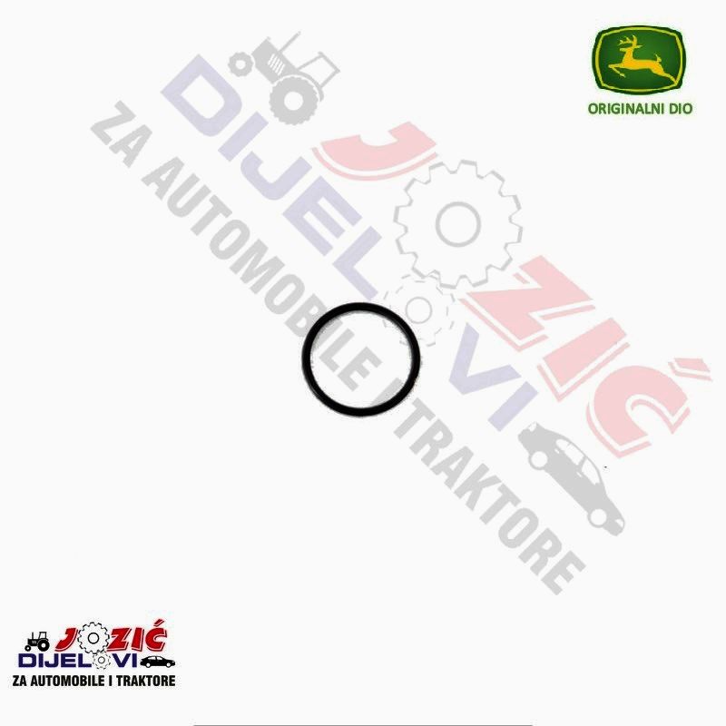 Daisy on the Ohoopee