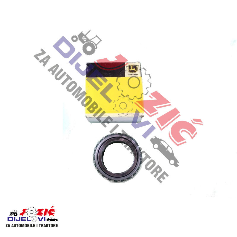 Daisy on the Ohoopee