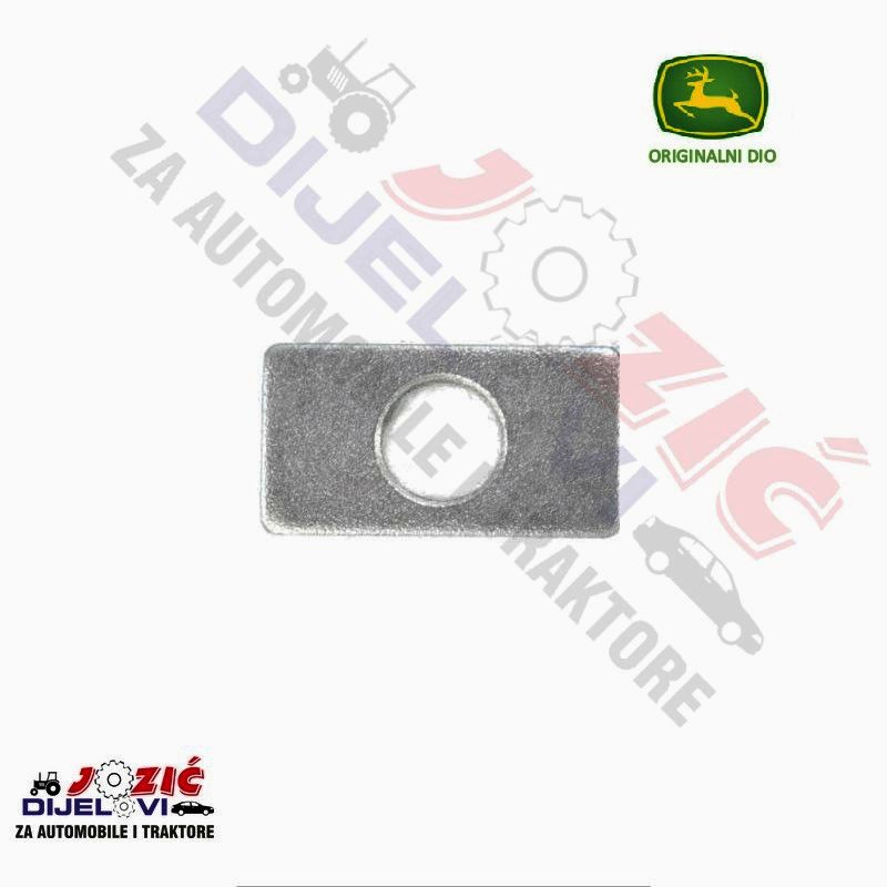 Daisy on the Ohoopee