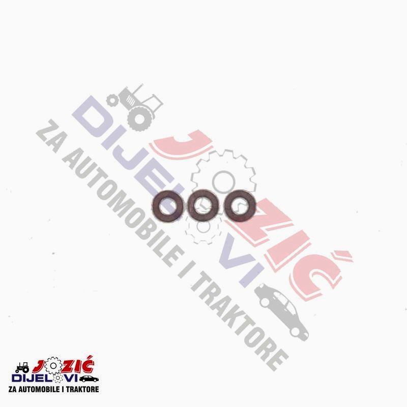 Daisy on the Ohoopee