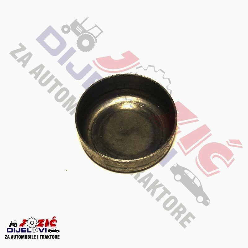 Daisy on the Ohoopee