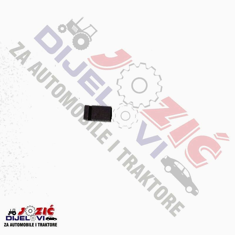 Daisy on the Ohoopee