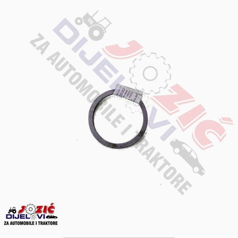 Daisy on the Ohoopee