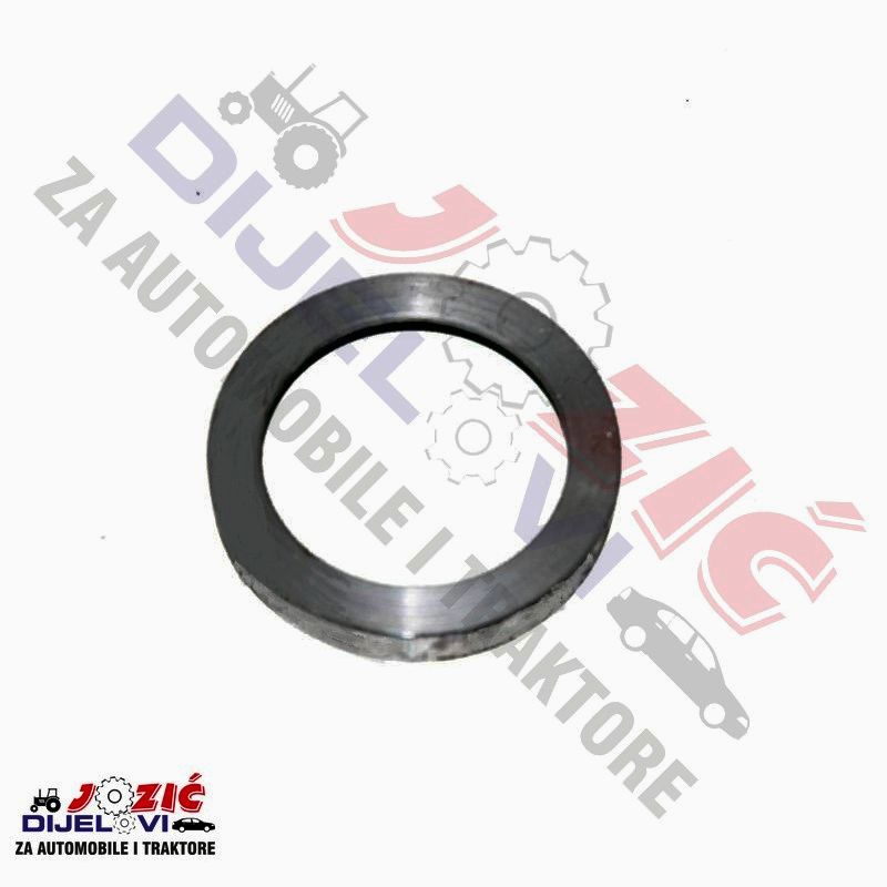 Daisy on the Ohoopee