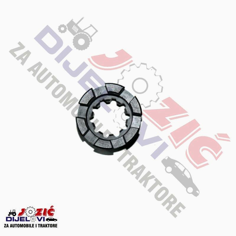 Daisy on the Ohoopee